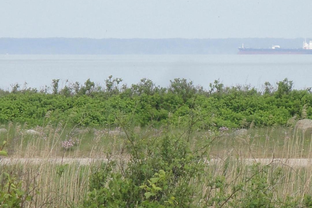 Photo of Outdoor in Middelfart