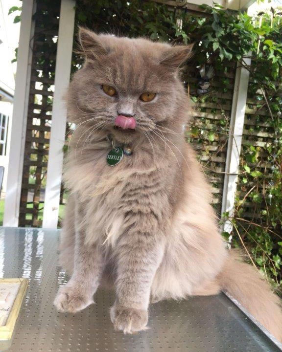 Photo of Patio Balcony in Whitianga