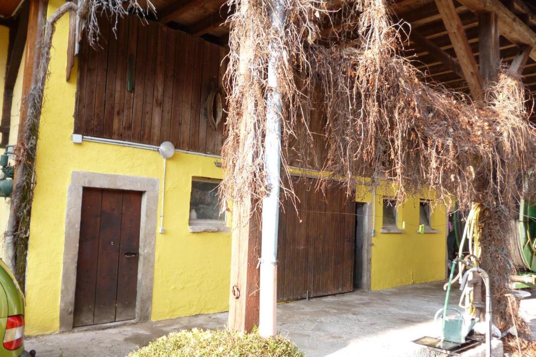 Photo of Others in Bindernheim