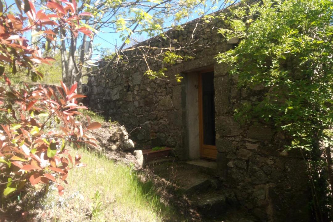 Photo of Others in Champis