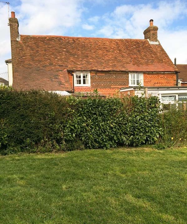 Photo of Buildings in Ticehurst