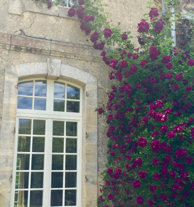 Photo of Others in Conde-sur-Seulles