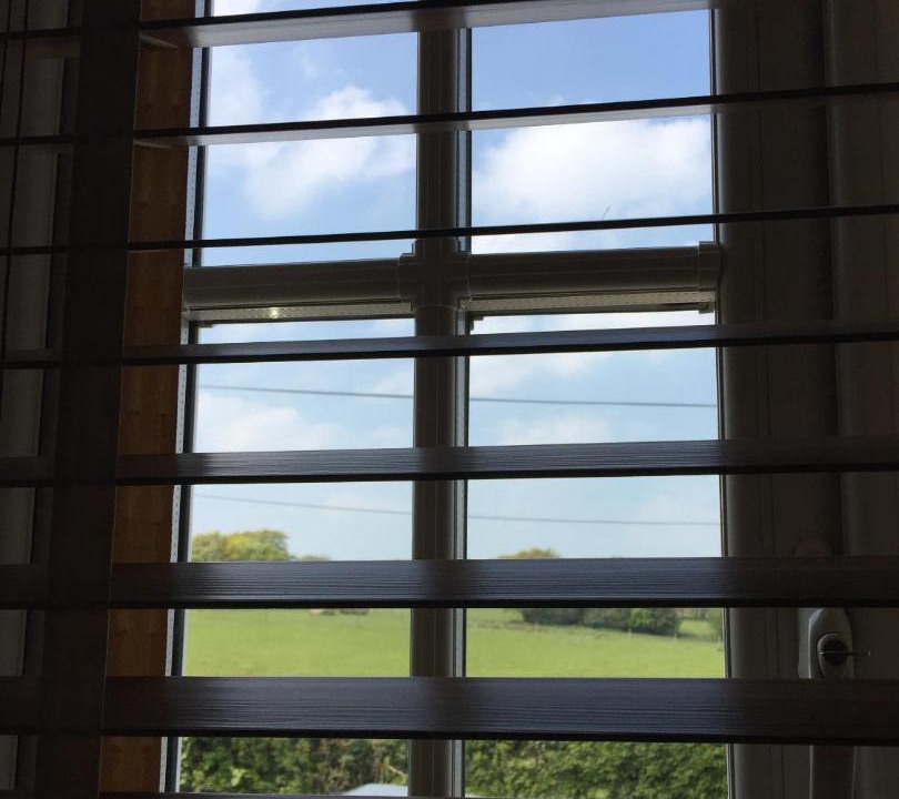 Photo of Others in Fearby