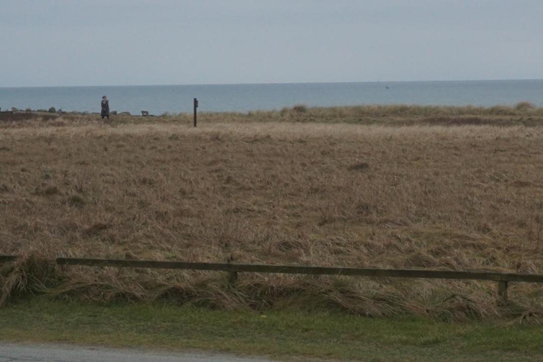 Photo of Others in Hirtshals
