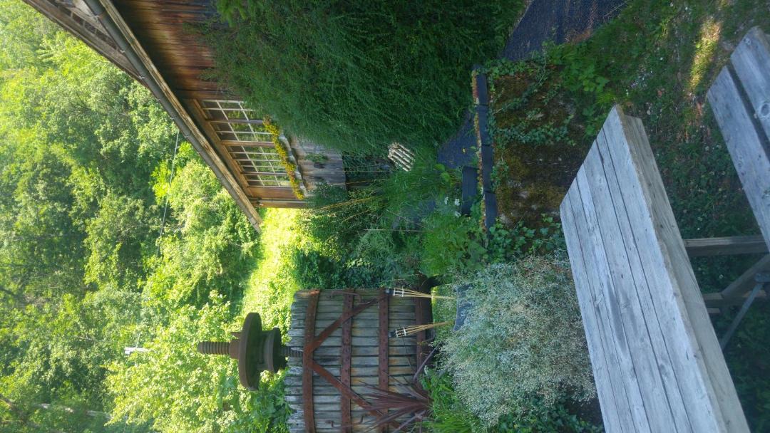 Photo of Others in Ligerz
