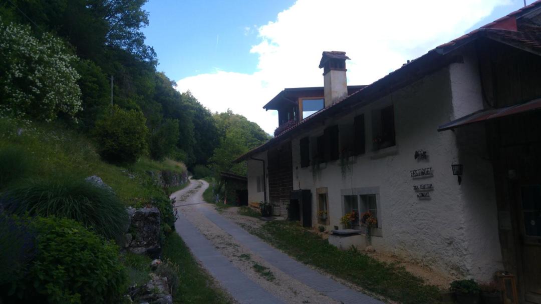 Photo of Others in Ligerz