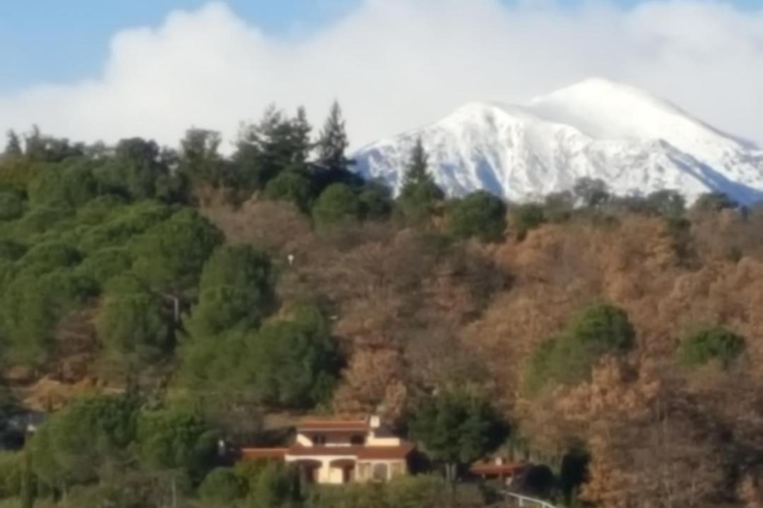 Photo of Others in Ceret