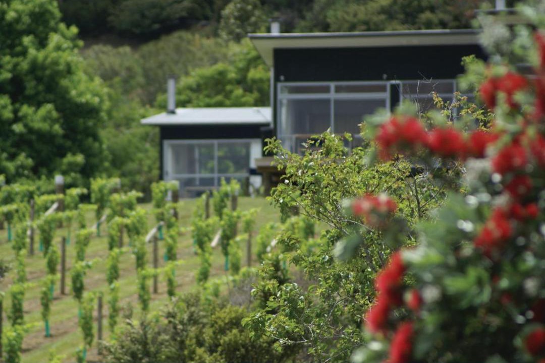 Photo of Others in Matakana