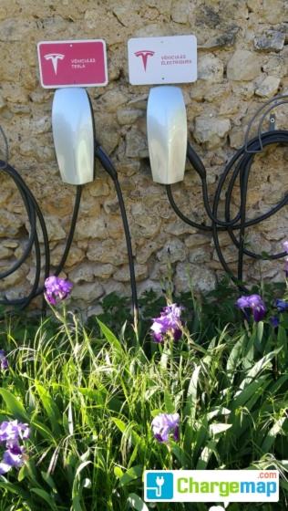 Photo of Others in Lussac-les-Chateaux