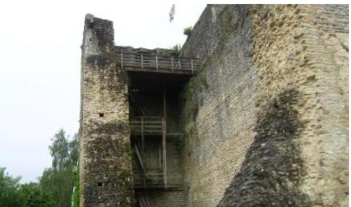 Photo of Others in Salives