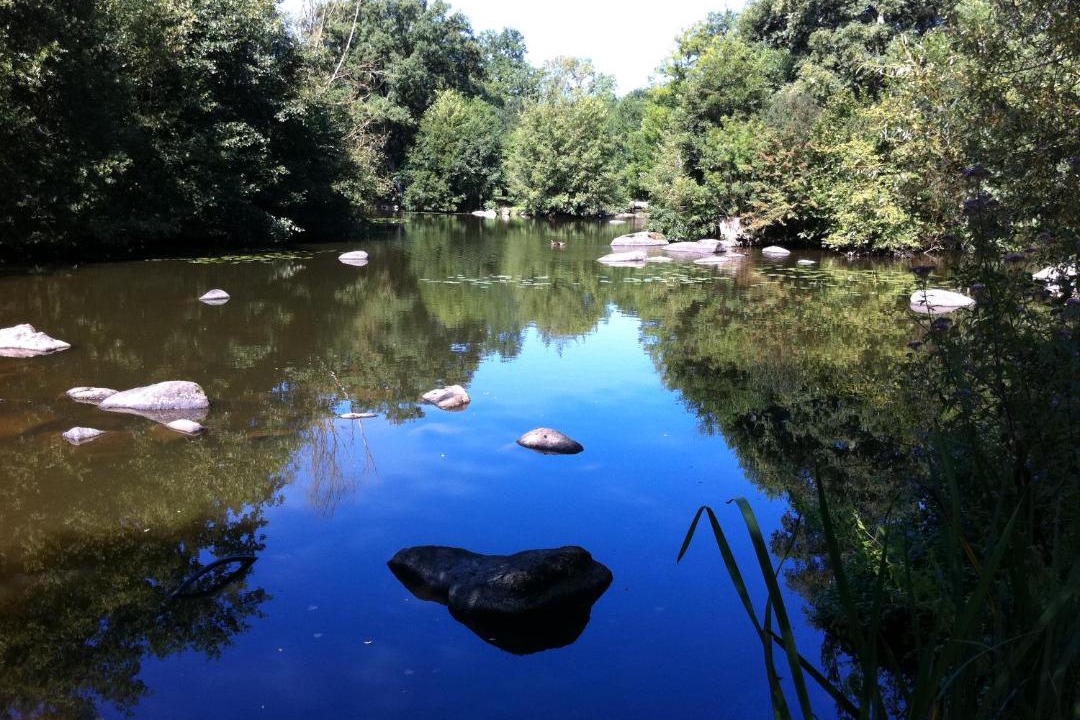 Photo of Outdoor in Saint-Laurent-sur-Sevre