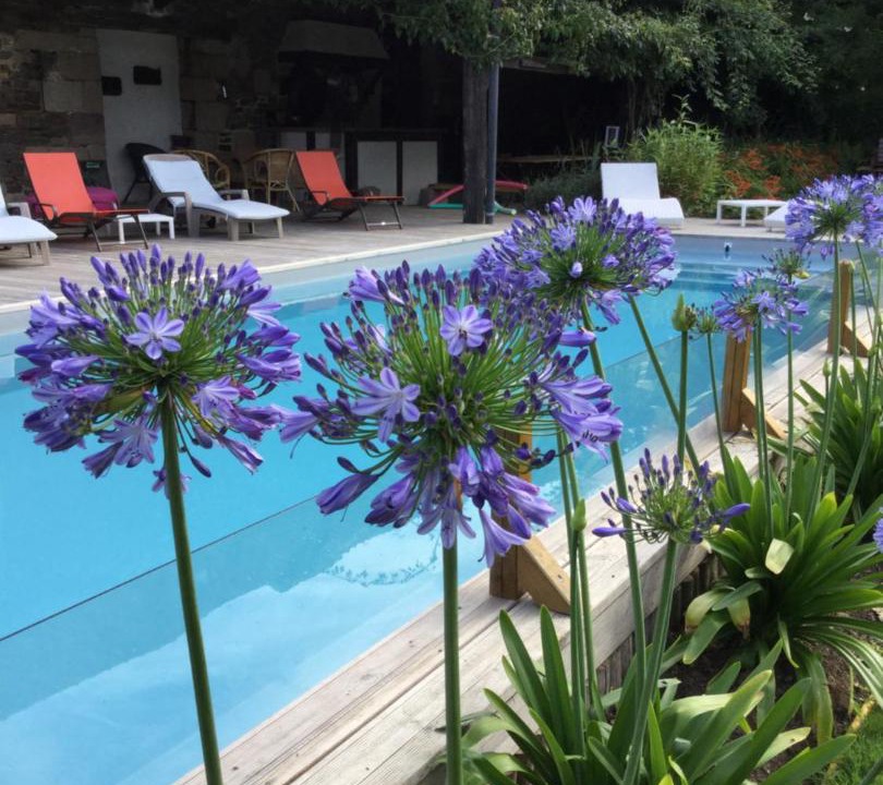 Photo of Others in Noyal-Sous-Bazouges