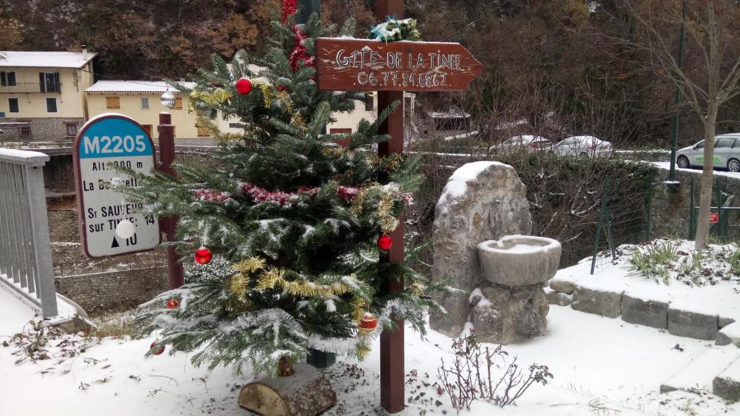 Photo of Others in Clans