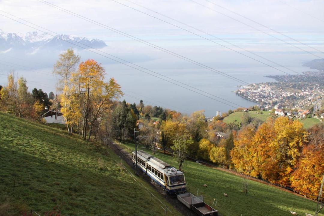Photo of Others in Montreux