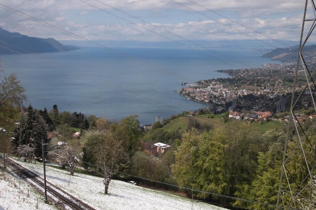 Photo of Others in Montreux