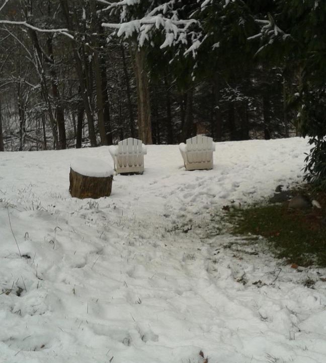Photo of Others in Prattsville