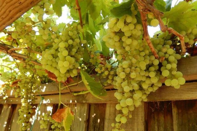 Photo of Others in Silver Creek