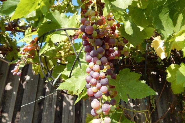 Photo of Others in Silver Creek