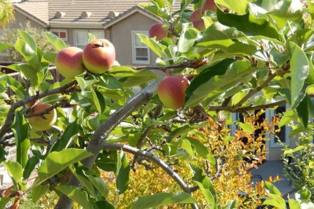 Photo of Others in Silver Creek