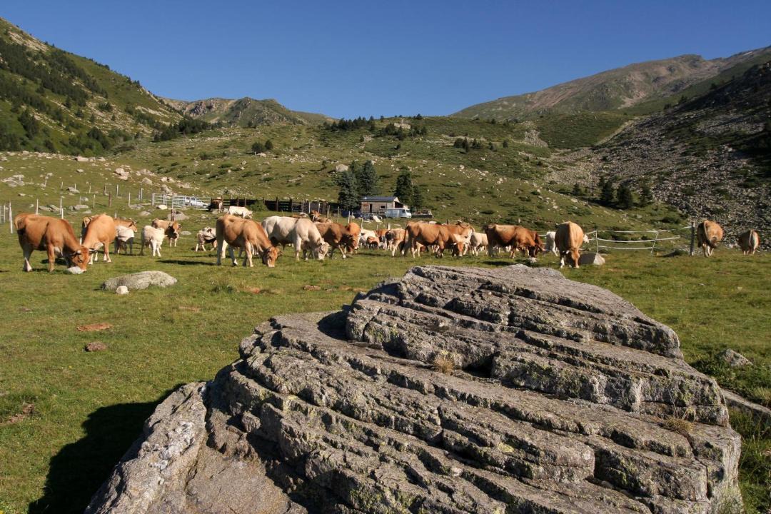 Photo of Others in Prats-de-Mollo-la-Preste