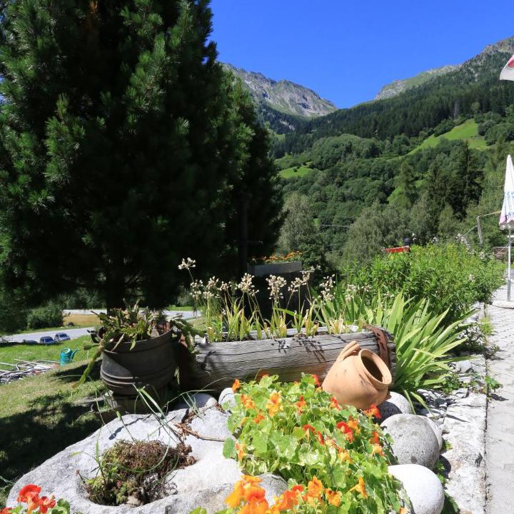 Photo of Others in Bregaglia