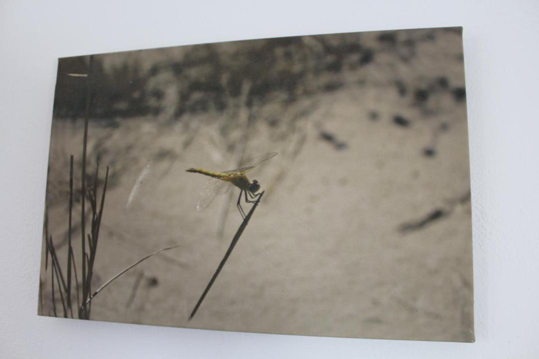 Photo of Human In Picture in Poble Nou del Delta