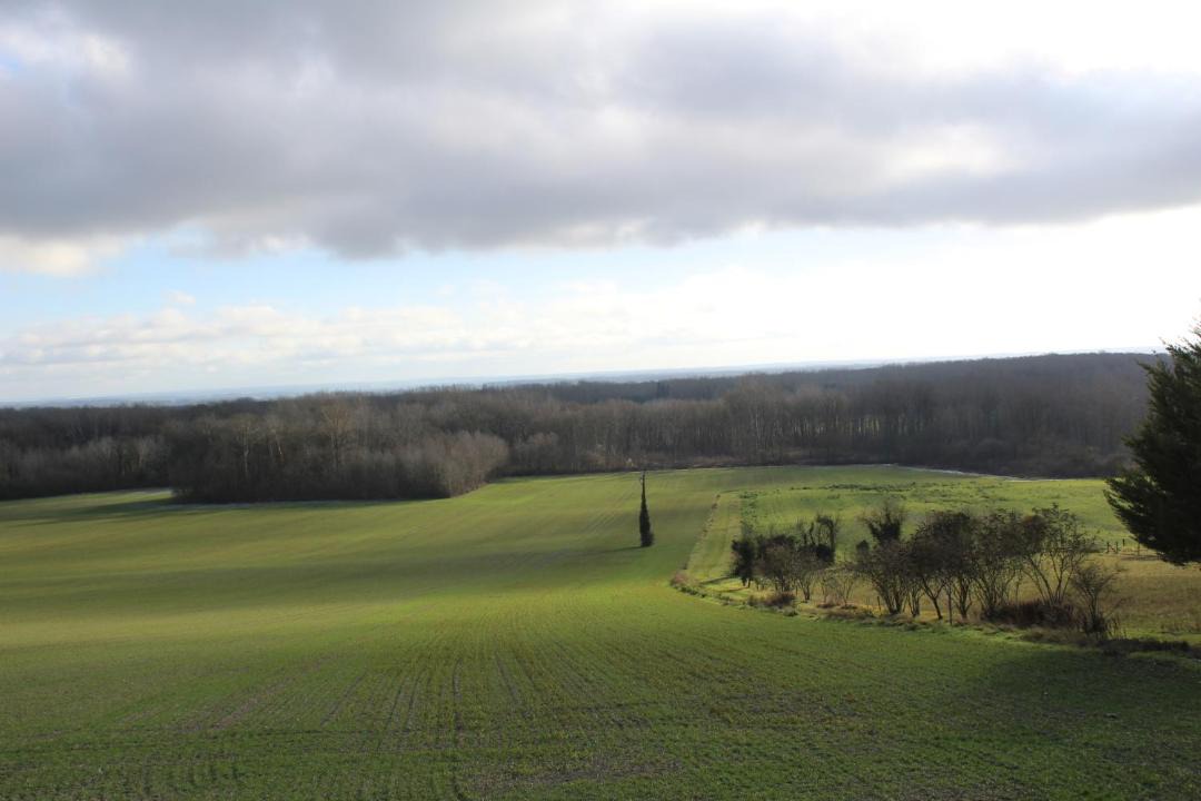 Photo of Others in Laubressel