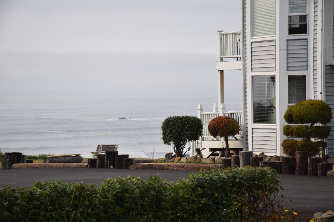Photo of Others in Agate Beach