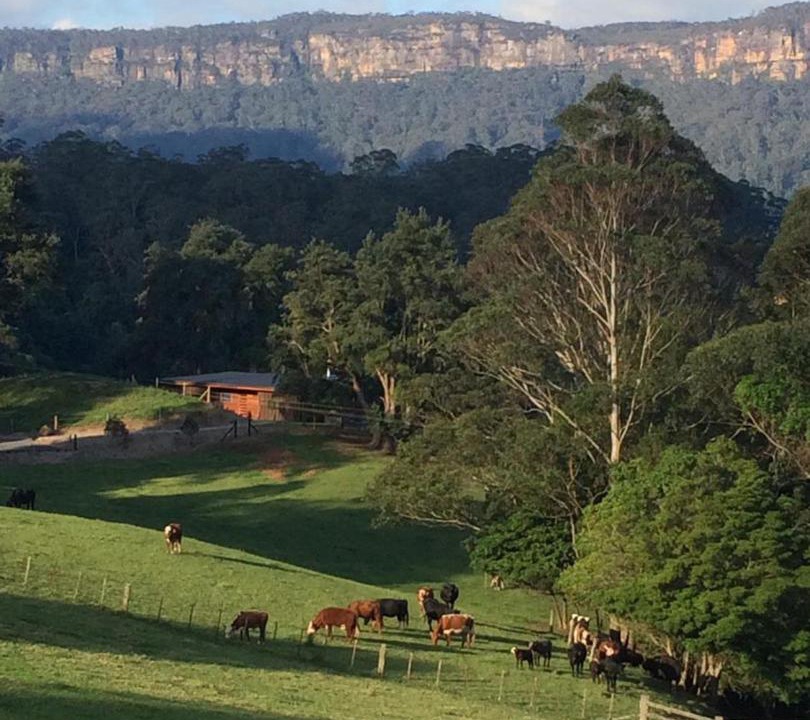 Photo of Others in Barrengarry