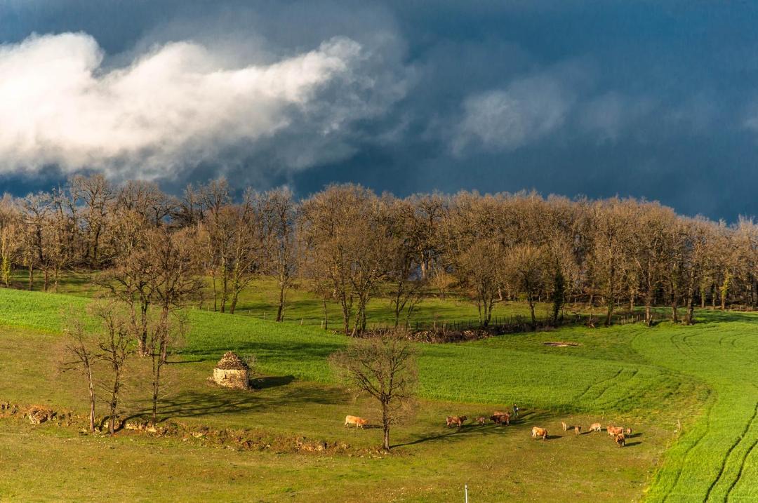 Photo of Others in Lissac-et-Mouret