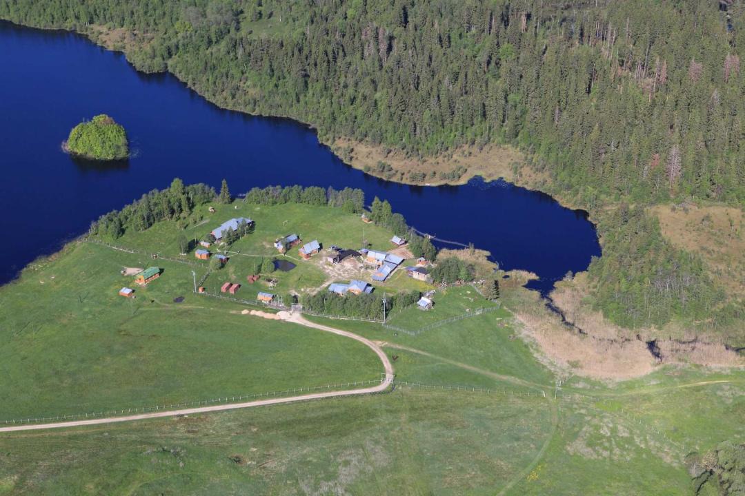 Photo of Others in Ryutinskoe