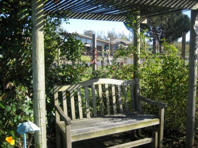 Photo of Others in Freestone