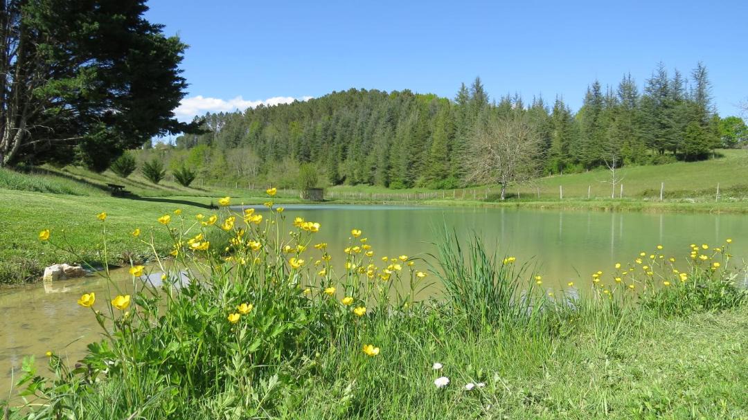 Photo of Others in Issac