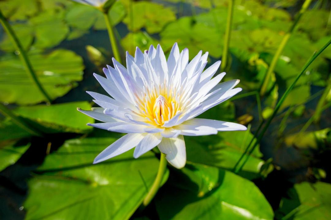 Photo of Others in Bellingen