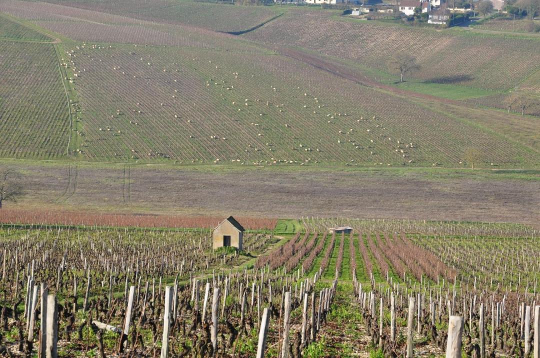 Photo of Others in Saint-Satur