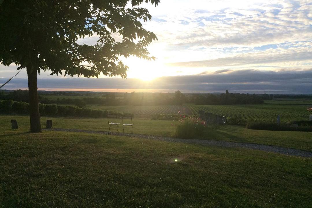 Photo of Others in Brie-sous-Archiac