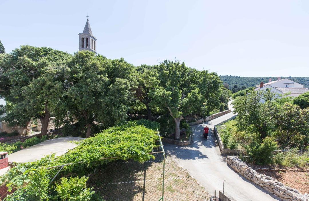 Photo of Others in Bozava