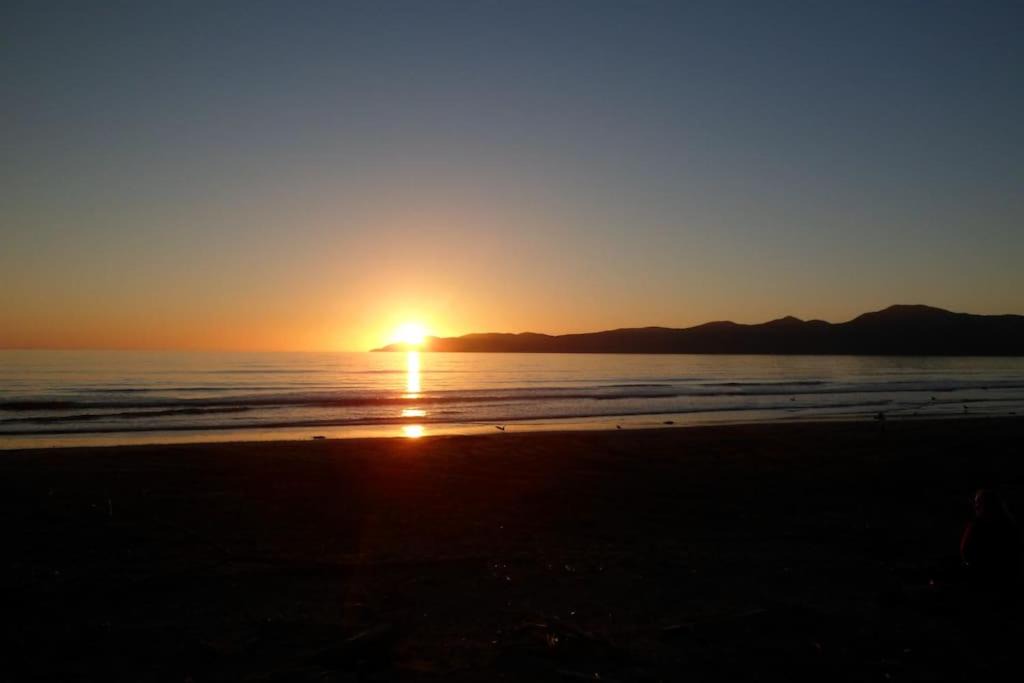 Photo of Others in Paraparaumu Beach