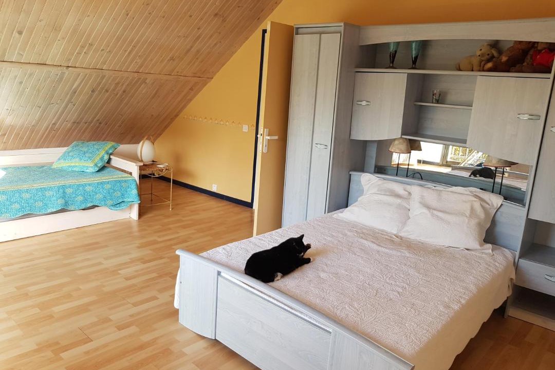 Photo of Others in Le Donjon