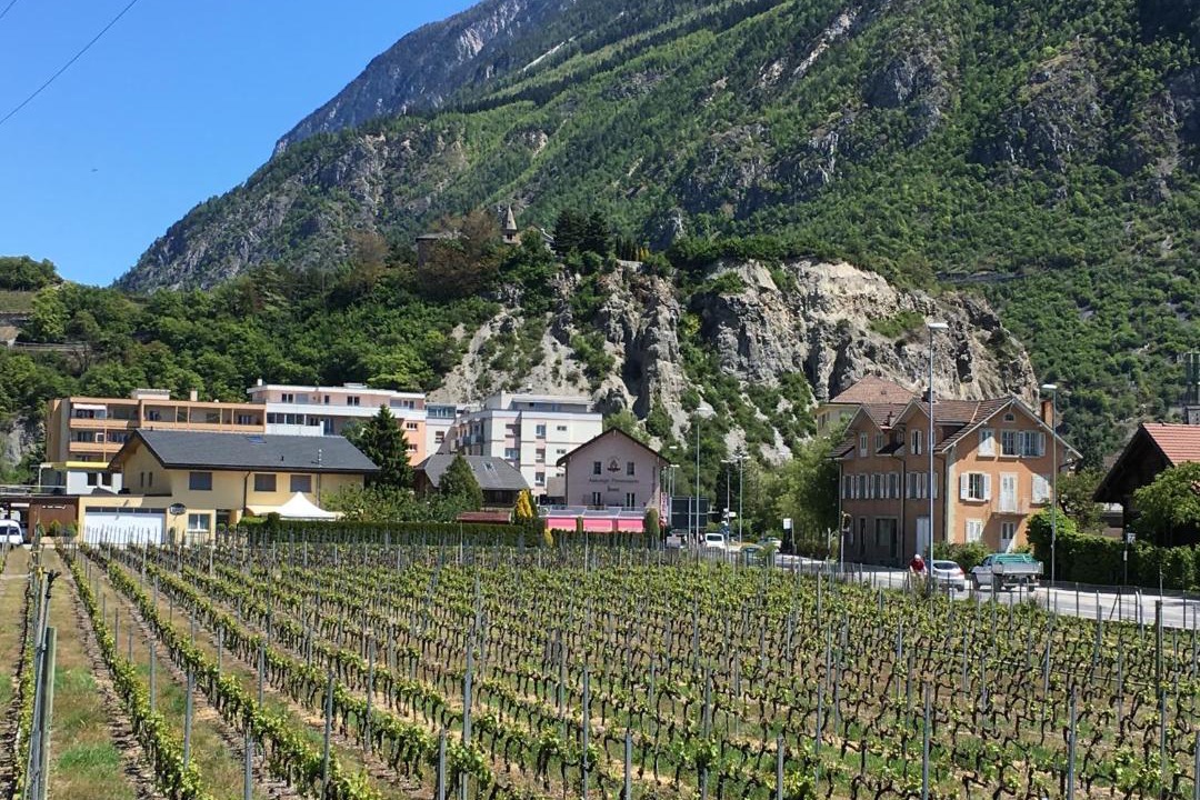 Photo of Others in Sierre