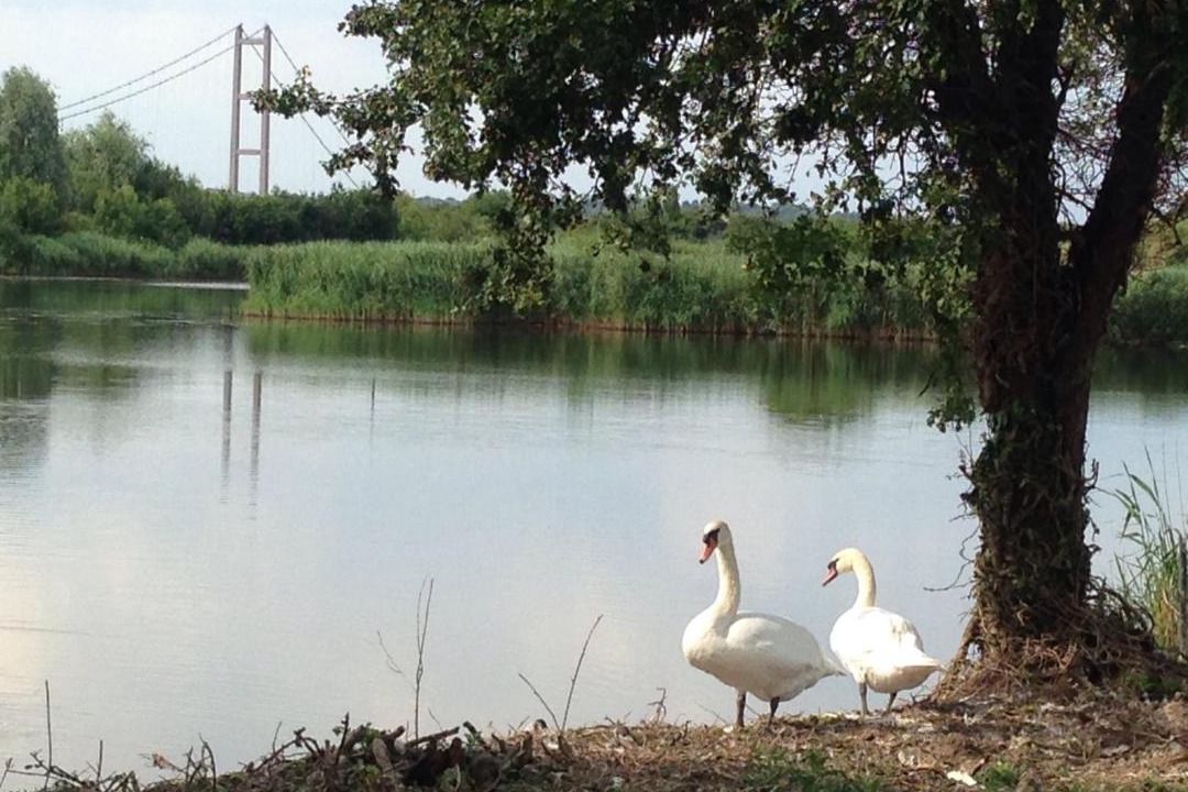 Photo of Others in Barton-upon-Humber