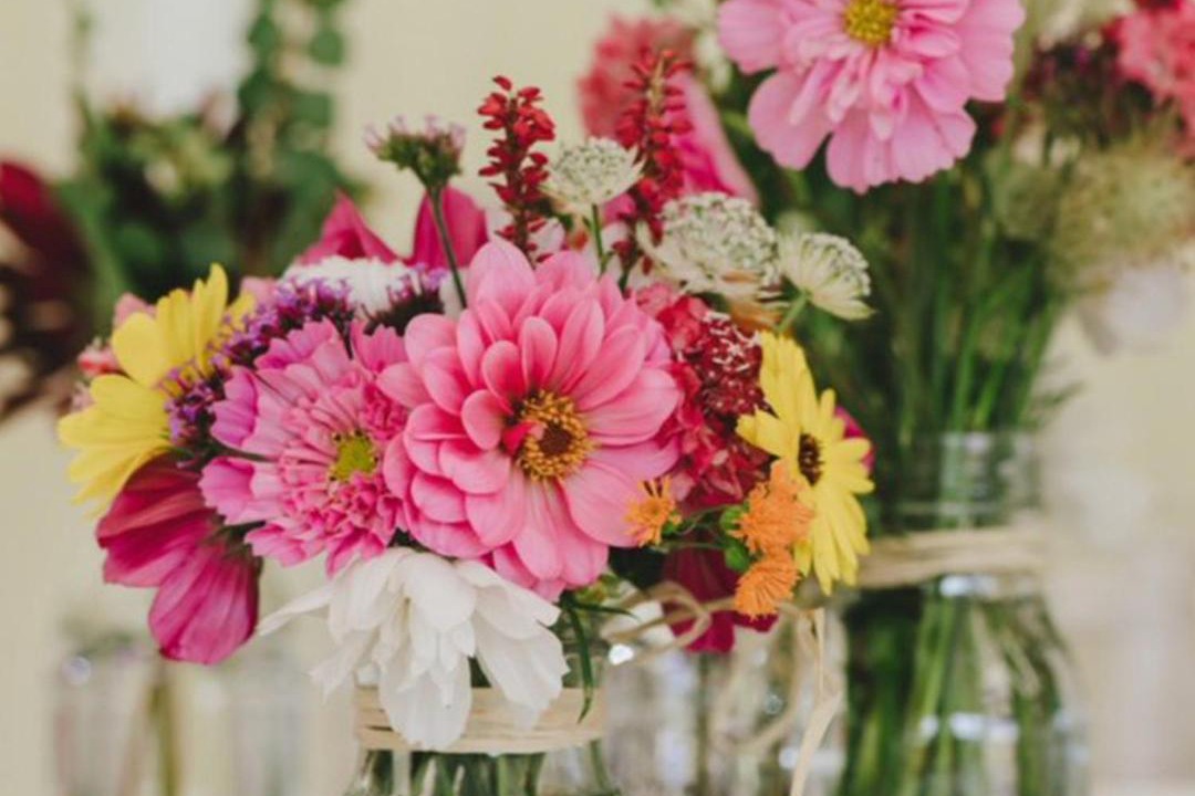 Photo of Others in Stamford