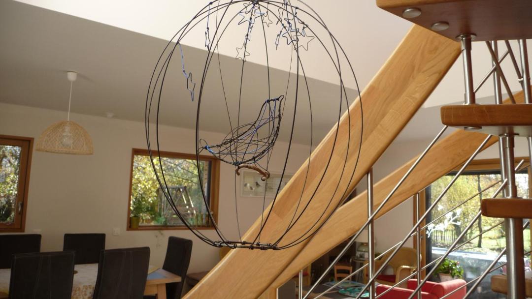 Photo of Others in Ferel