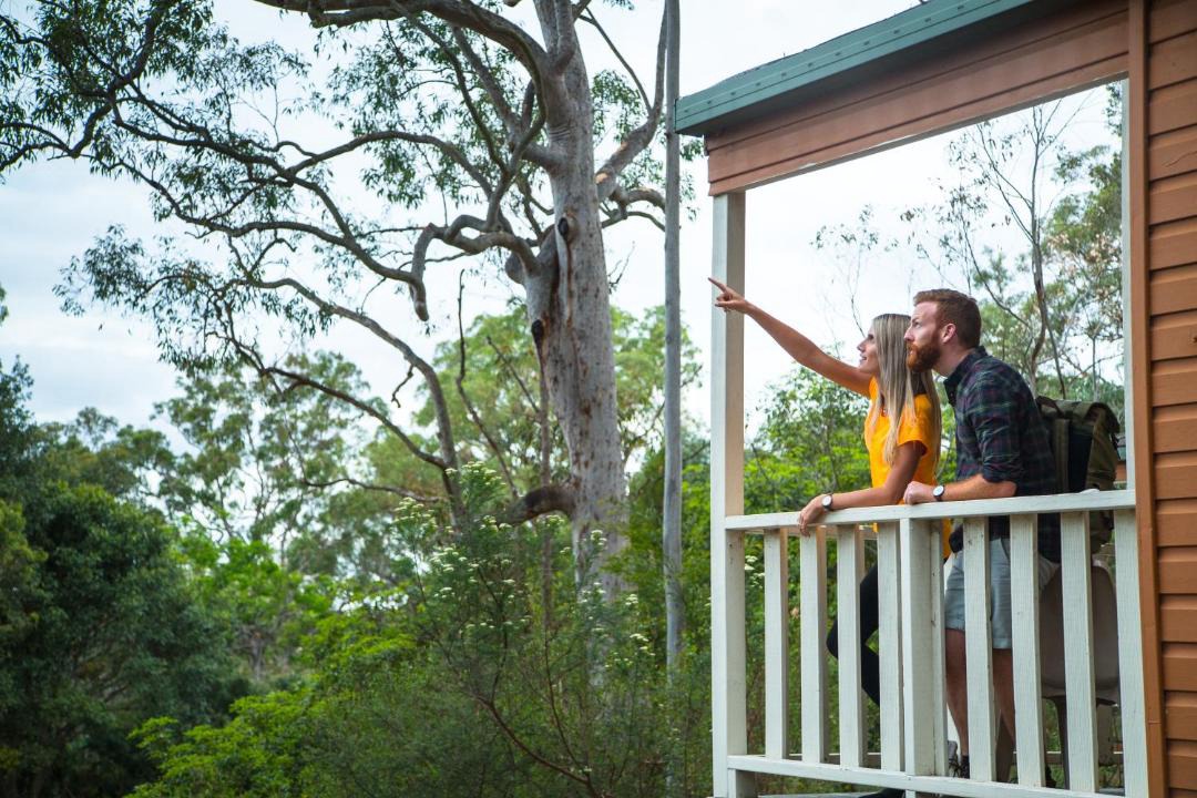 Photo of Others in Macquarie Park