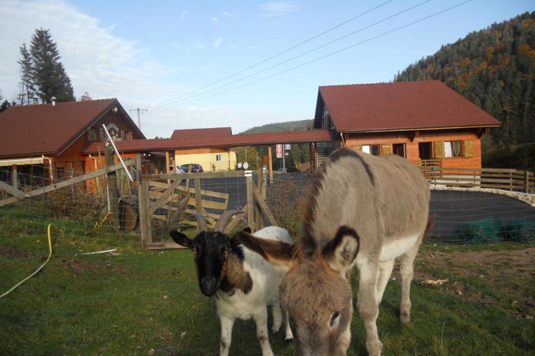 Photo of Others in Xonrupt-Longemer