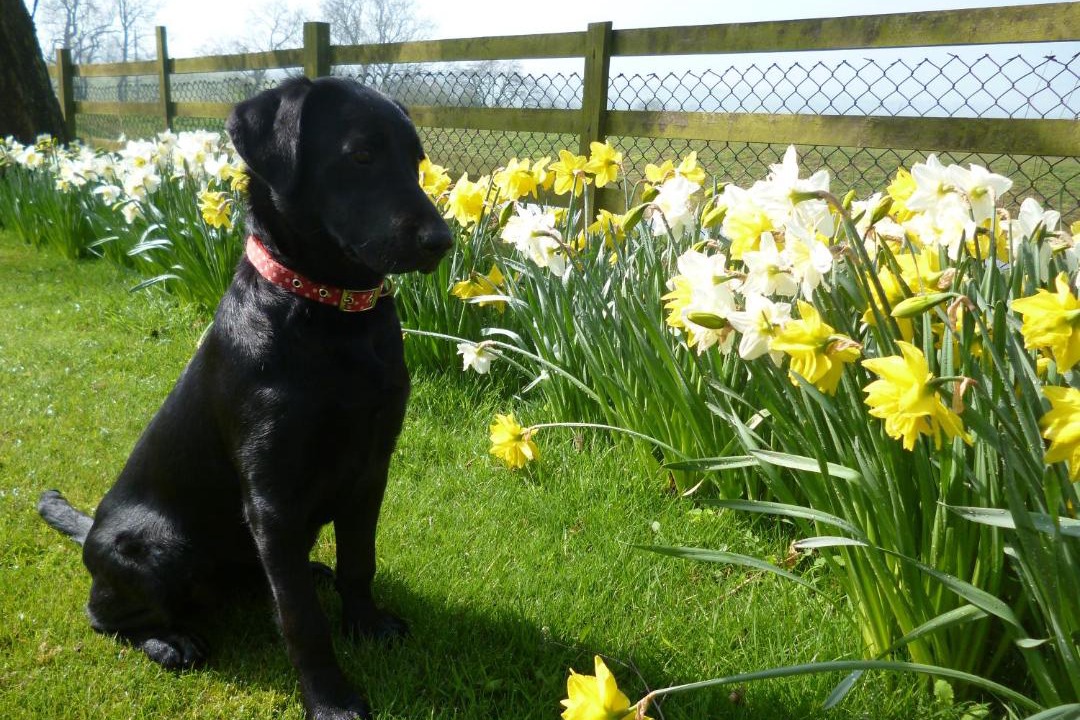 Photo of Others in East Haddon