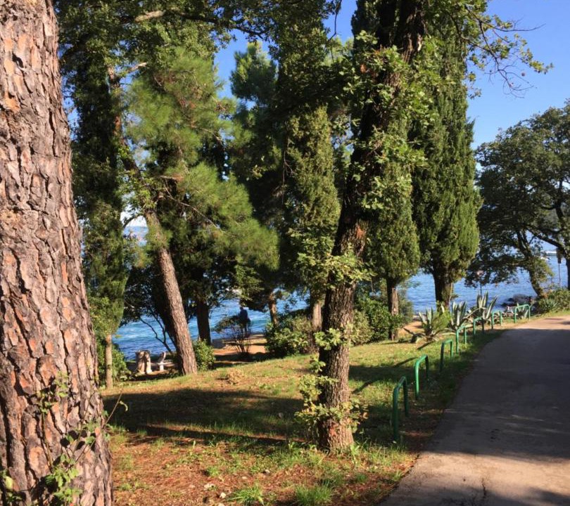 Photo of Others in Njivice