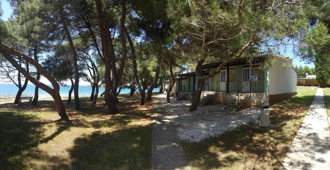 Photo of Others in Novigrad