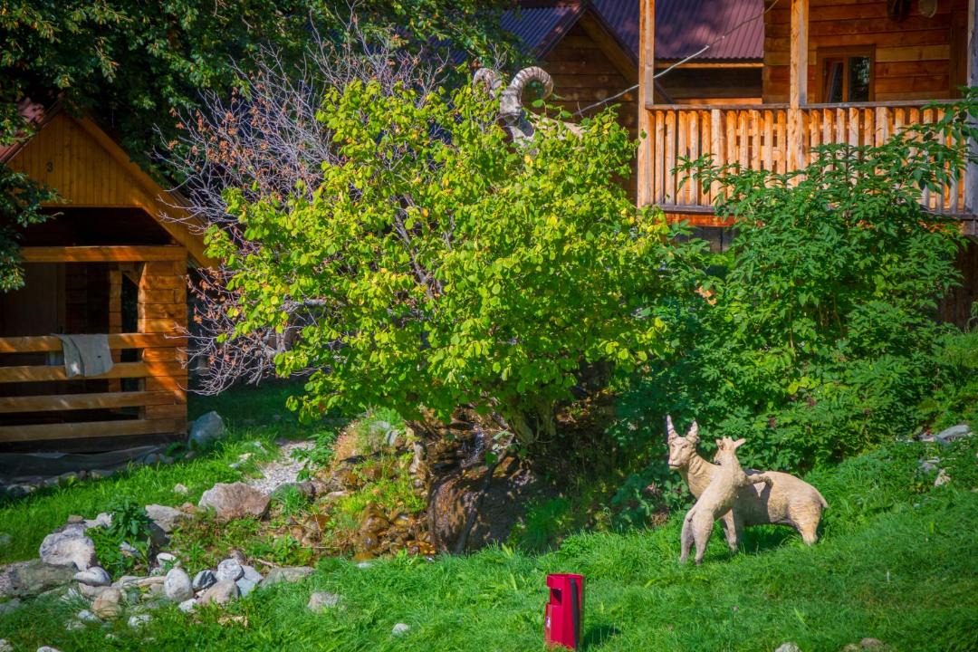 Photo of Others in Arkhyz