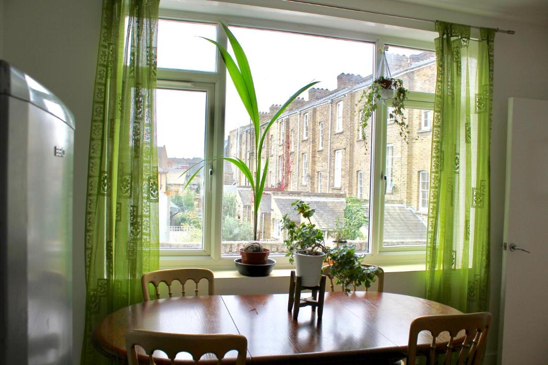 Photo of Others in Camberwell